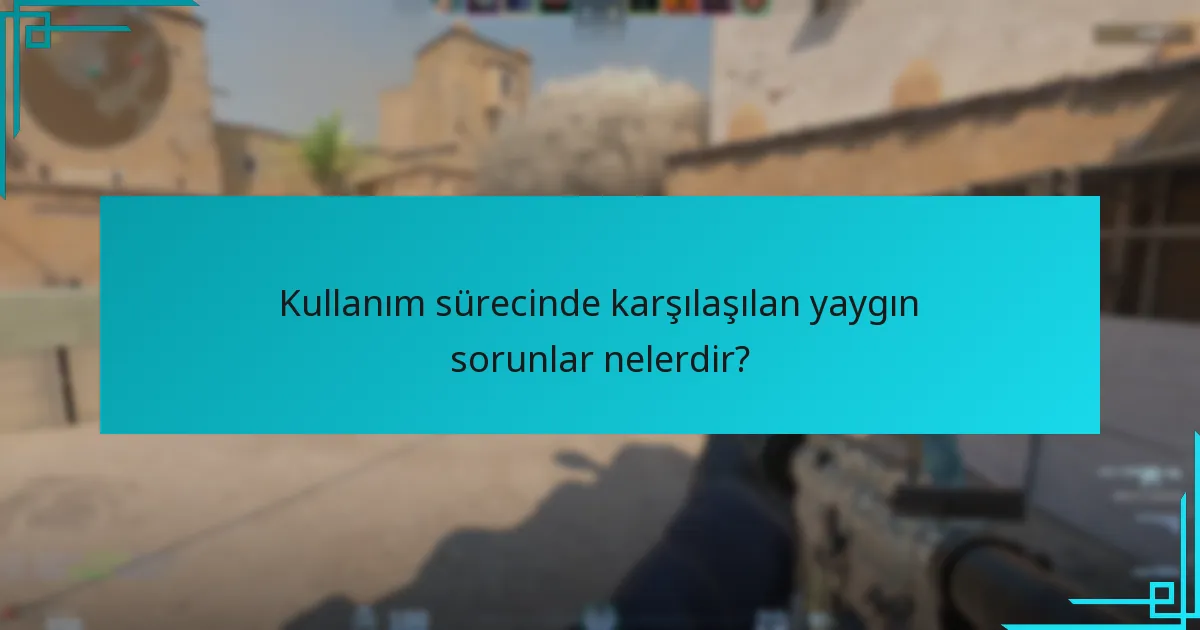 Kullanım sürecinde karşılaşılan yaygın sorunlar nelerdir?