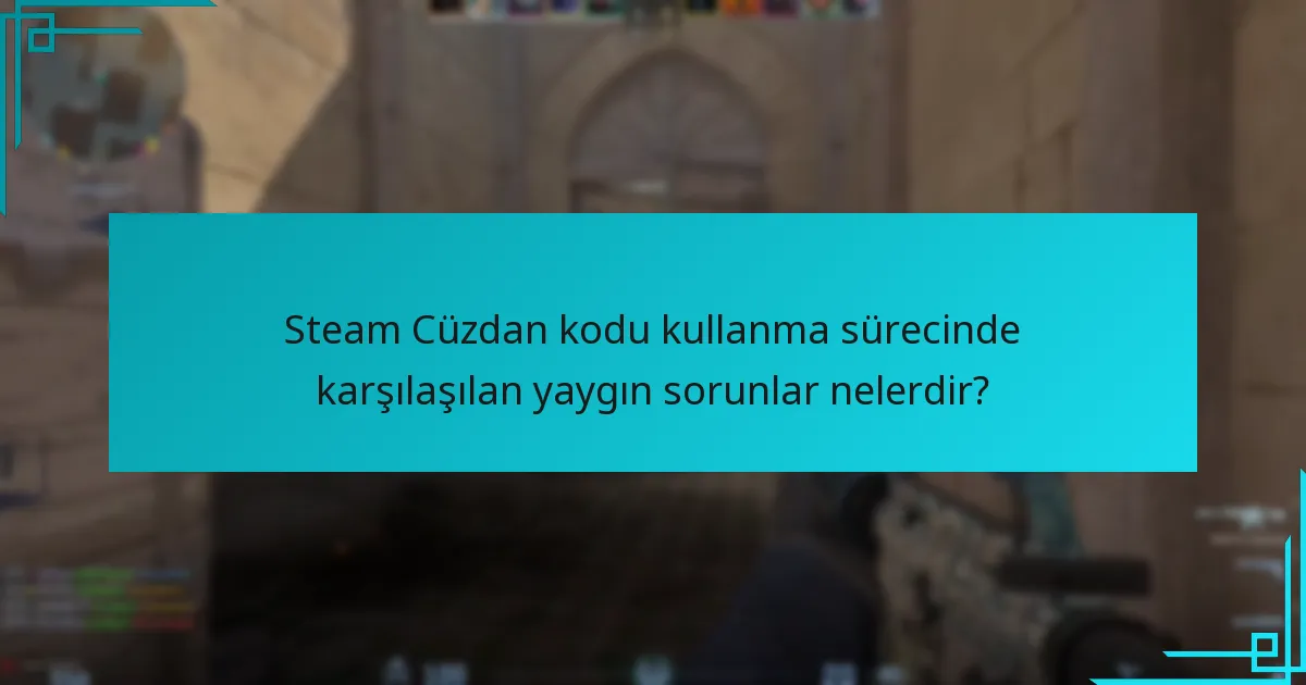 Steam Cüzdan kodu kullanma sürecinde karşılaşılan yaygın sorunlar nelerdir?